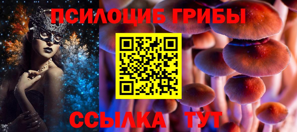 Псилоцибиновые грибы мухоморы  Псилоцибиновые грибы Psilocybe  Вход с VPN  Северск 